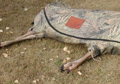 How long can you keep wild game in a cooler?